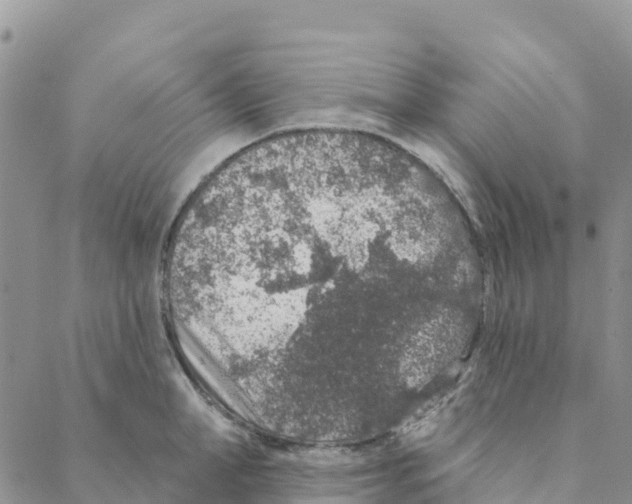 X0000088180998200706121646