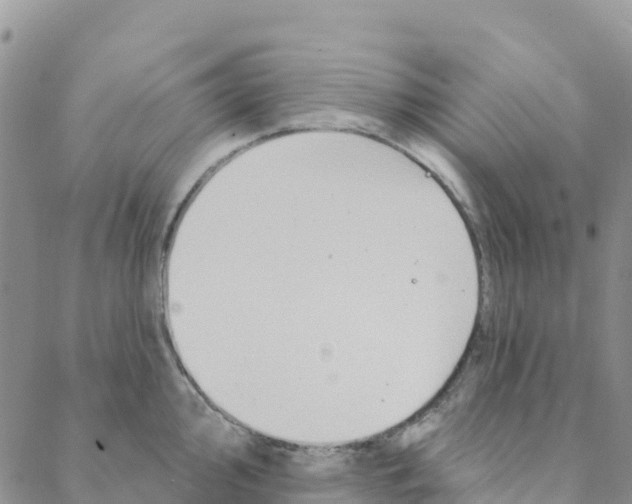 X0000088181000200706121646