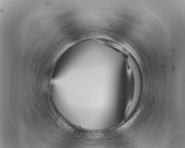 X0000088181001200706121646