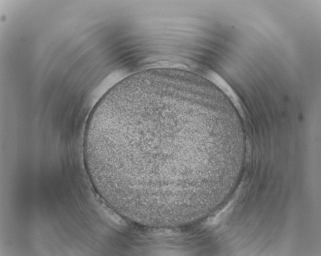 X0000088181002200706121646