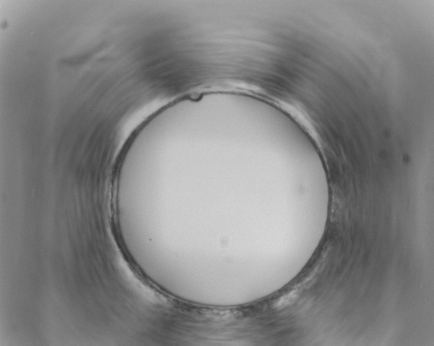 X0000088181003200706121646