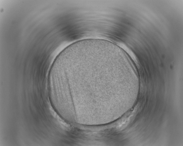 X0000088181004200706121646