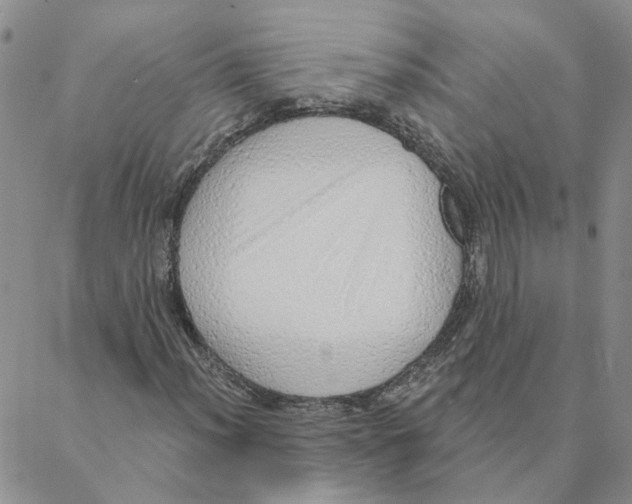 X0000088181012200706121645