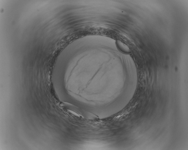 X0000088181013200706121645