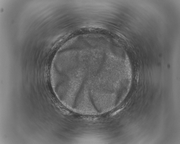 X0000088181014200706121645