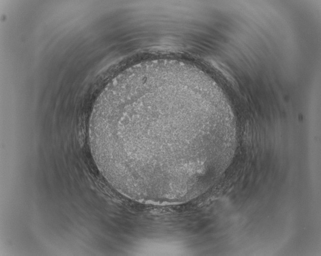 X0000088181015200706121645