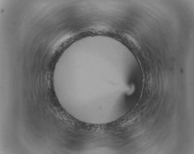 X0000088181016200706121645