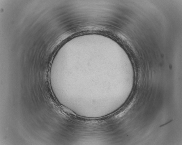 X0000088181017200706121645