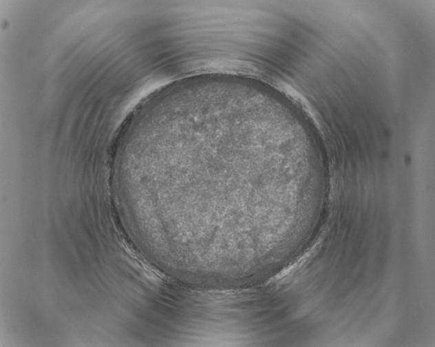 X0000088181019200706121645