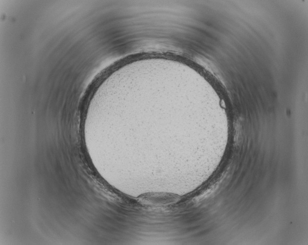 X0000088181021200706121646