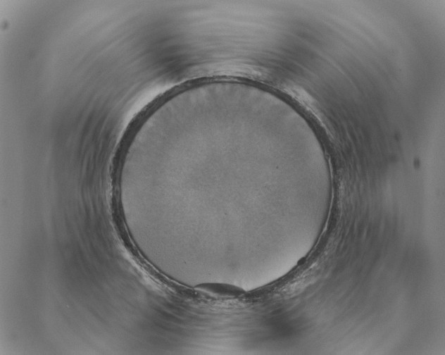 X0000088181024200706121646