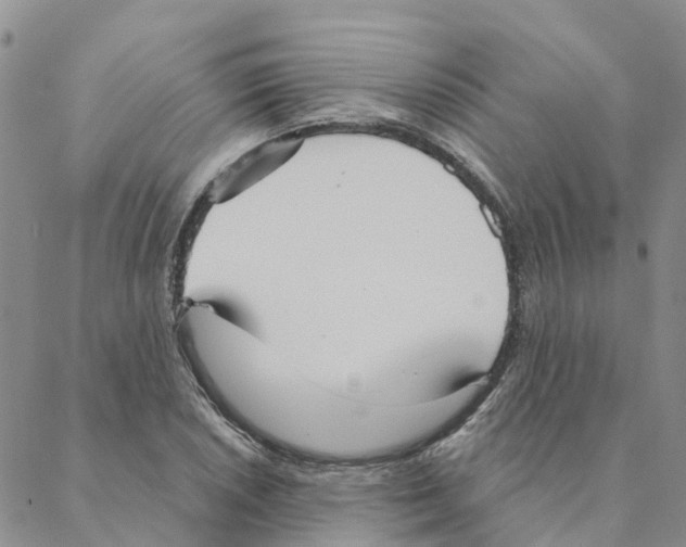 X0000088181026200706121646