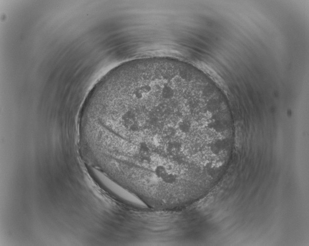 X0000088181031200706121646