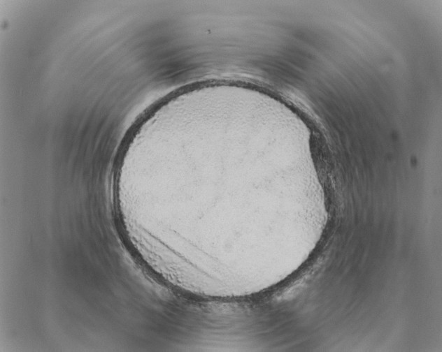 X0000088181032200706121646