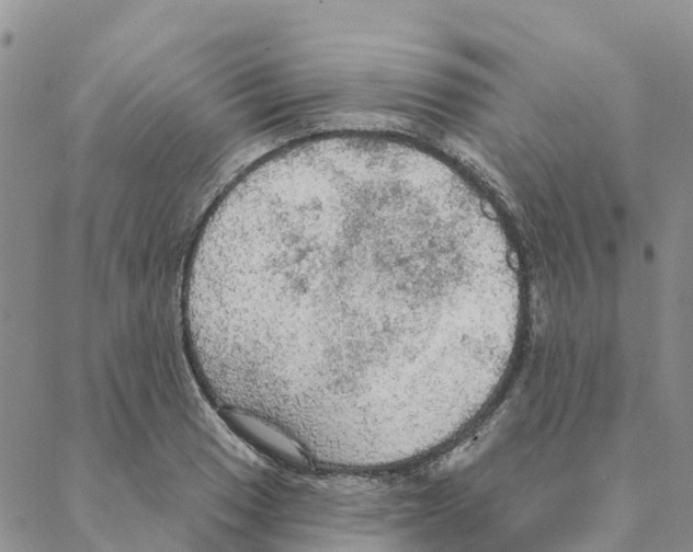 X0000088181033200706121646