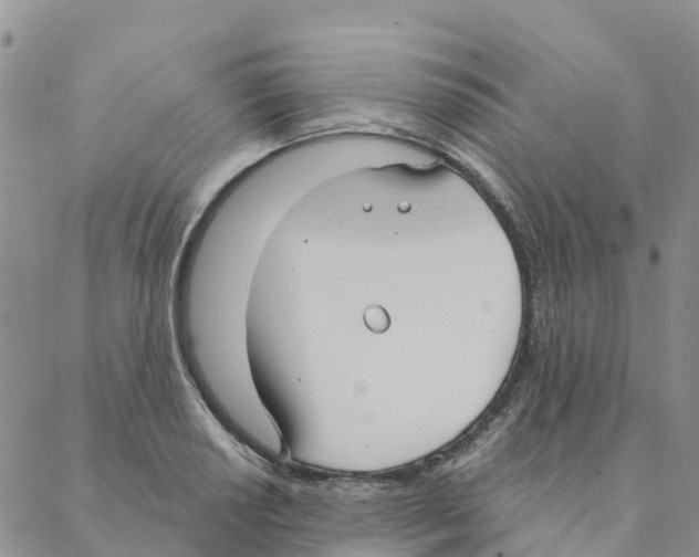 X0000088181034200706121646