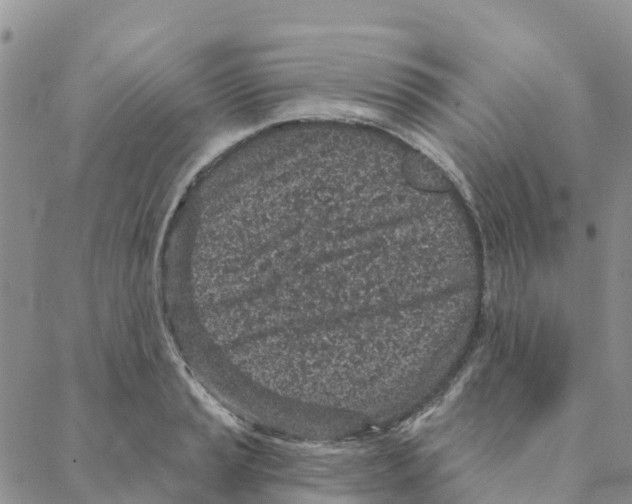 X0000088181037200706121646