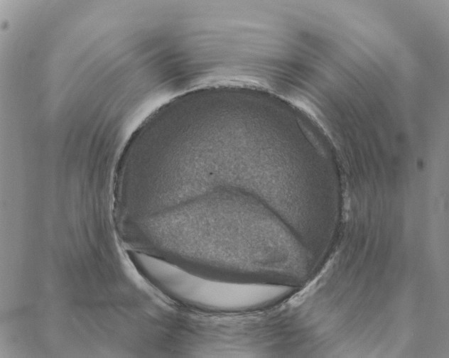 X0000088181038200706121646