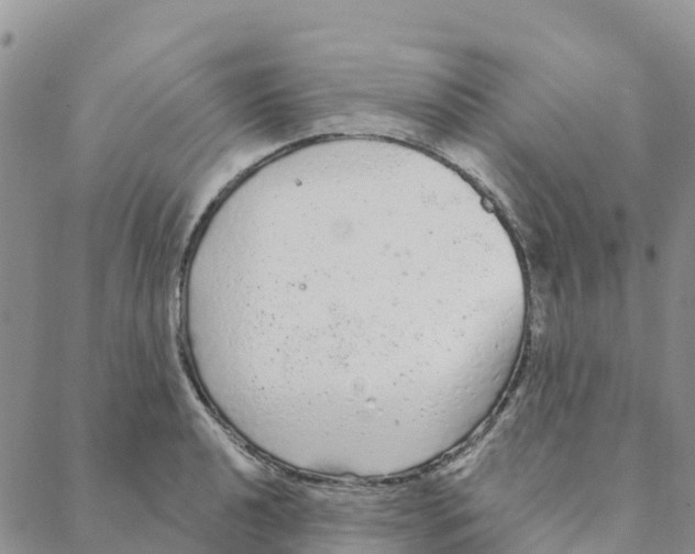 X0000088181040200706121646