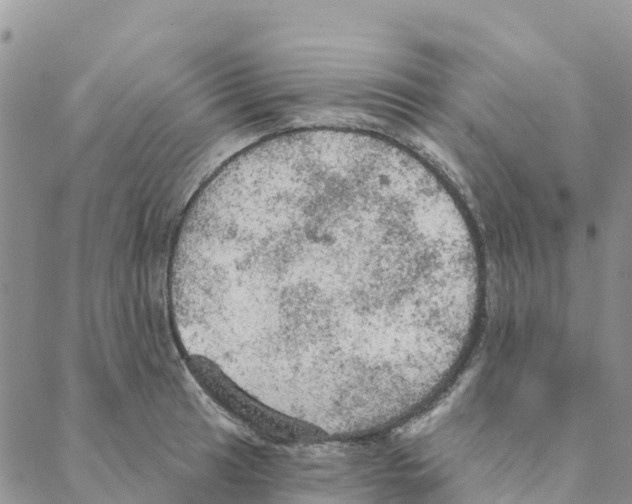 X0000088181041200706121646