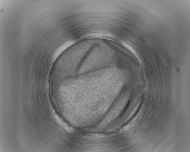 X0000088181042200706121646