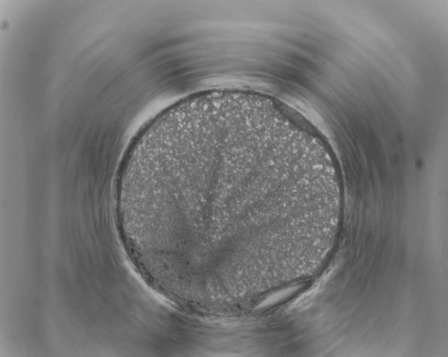 X0000088181045200706121646