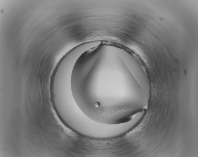 X0000088181046200706121646