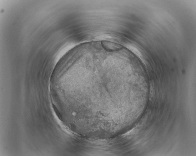 X0000088181047200706121646