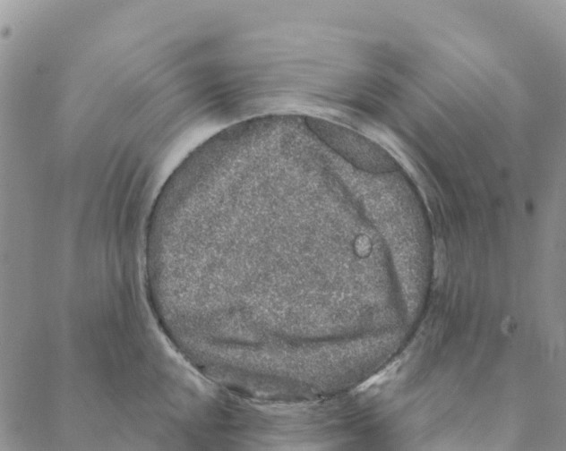 X0000088181048200706121646