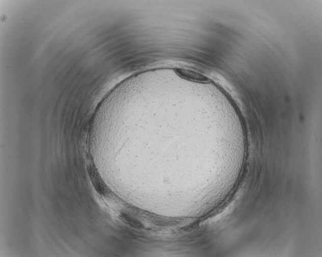 X0000088181049200706121646