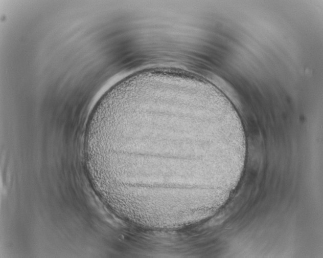 X0000088181052200706121646