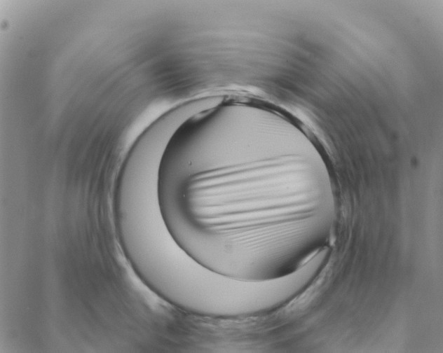 X0000088181054200706121646