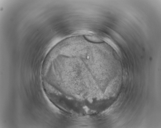 X0000088181055200706121646