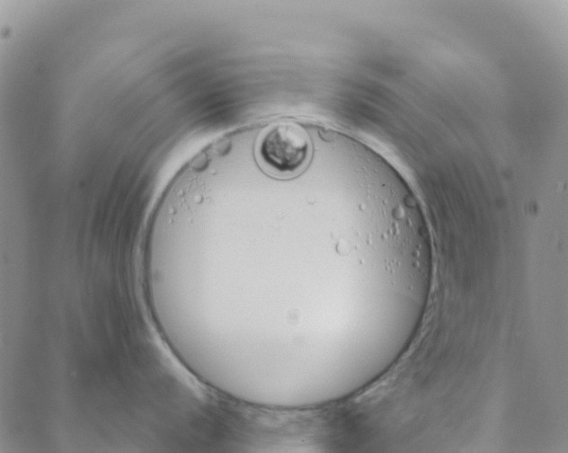 X0000088181056200706121646