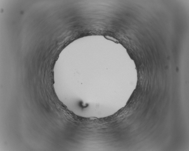 X0000088181057200706121645