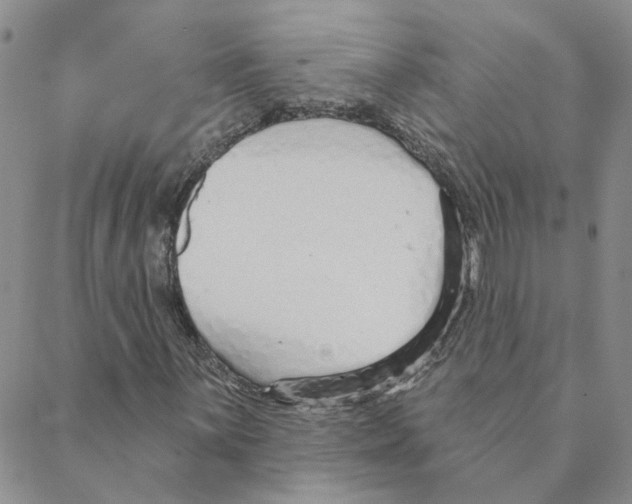 X0000088181059200706121645