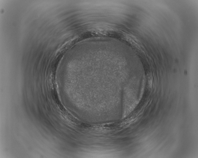 X0000088181060200706121645