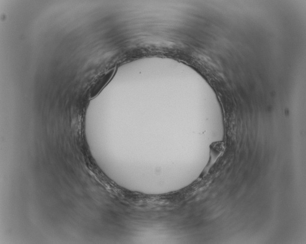 X0000088181061200706121645