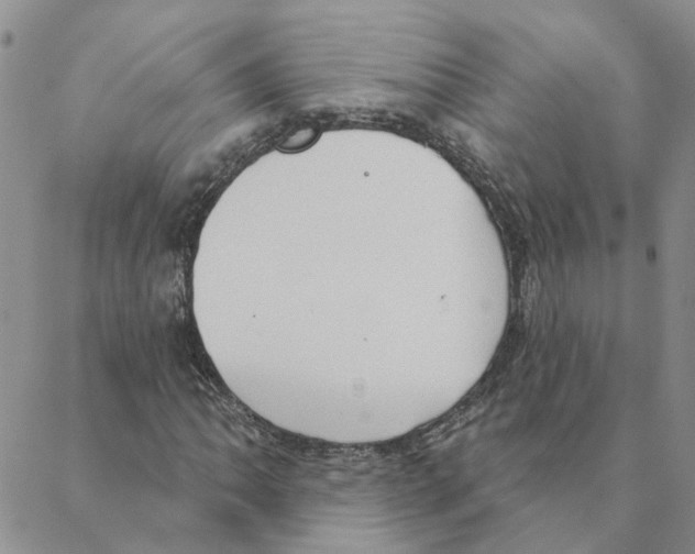 X0000088181062200706121645