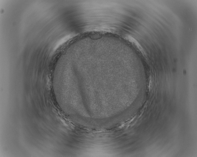 X0000088181064200706121645