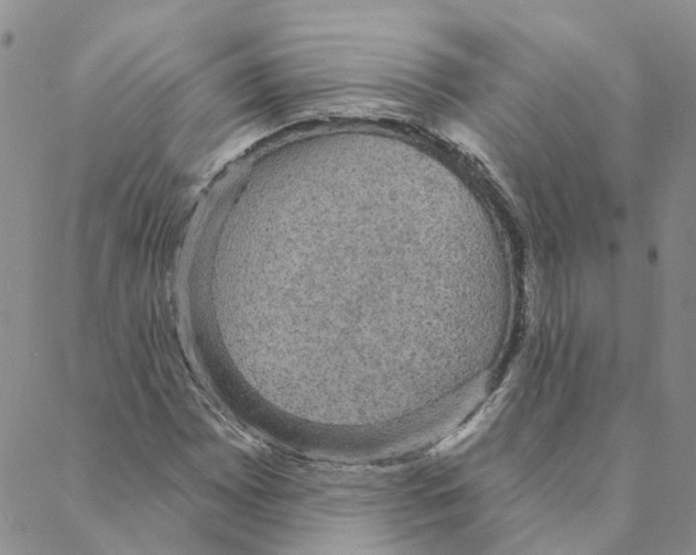 X0000088181065200706121645