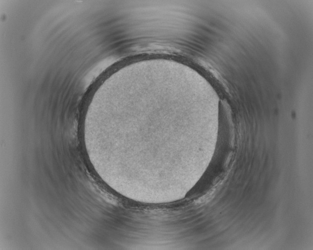 X0000088181066200706121645