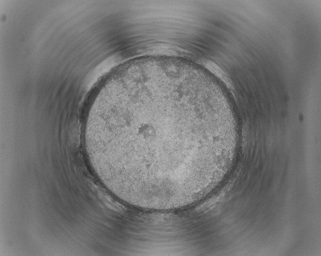 X0000088181067200706121645