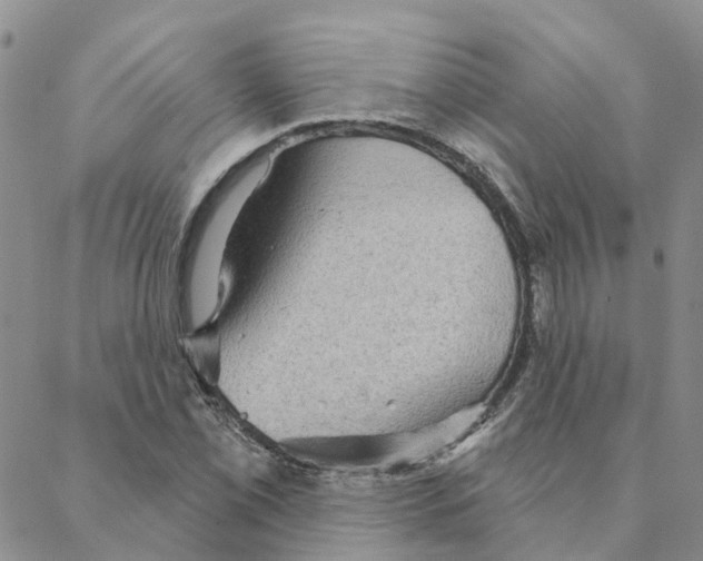 X0000088181069200706121645