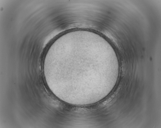 X0000088181070200706121645