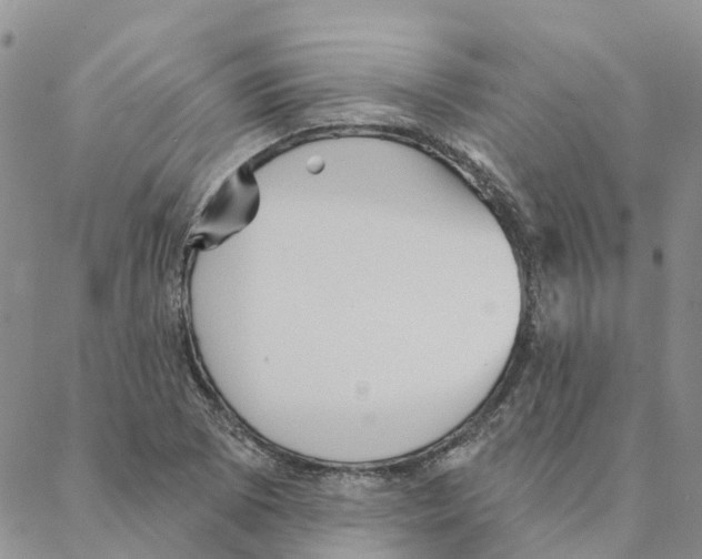 X0000088181073200706121645