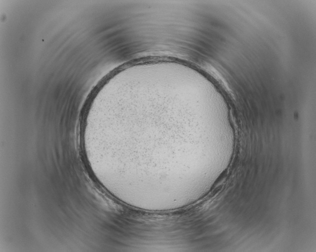 X0000088181076200706121645