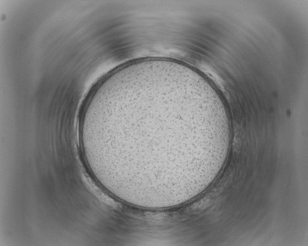 X0000088181080200706121645