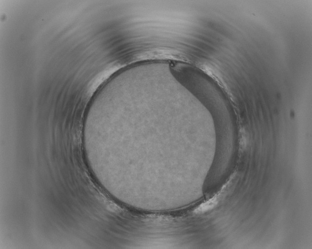 X0000088181081200706121645