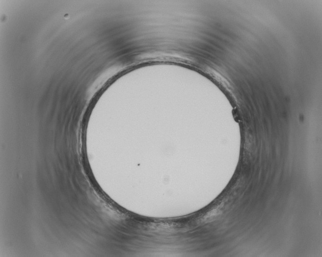 X0000088181082200706121645